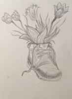 Nature - Flowers - Pencil And Paper